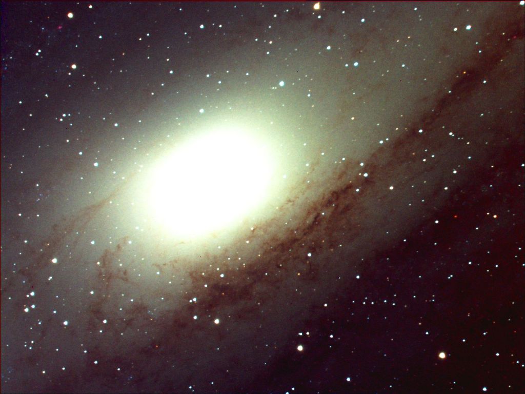 M31