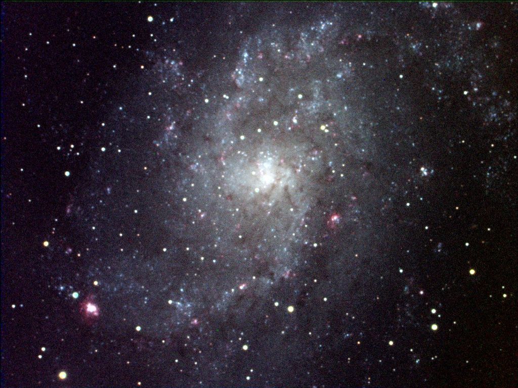 M33